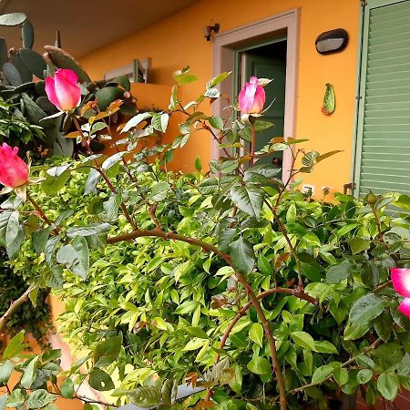 Casa Marta Acomodação com café da manhã Massa  Exterior foto