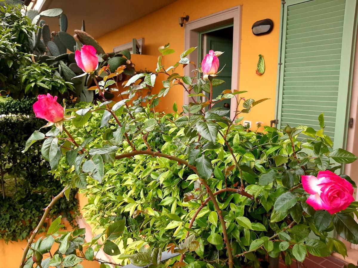 Casa Marta Acomodação com café da manhã Massa  Exterior foto