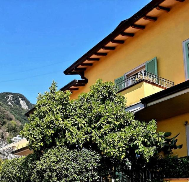 Casa Marta Acomodação com café da manhã Massa  Exterior foto